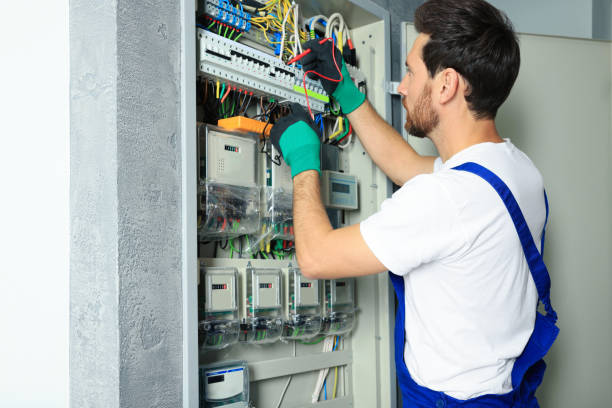 Best Electrical System Inspection  in Sullivan City, TX